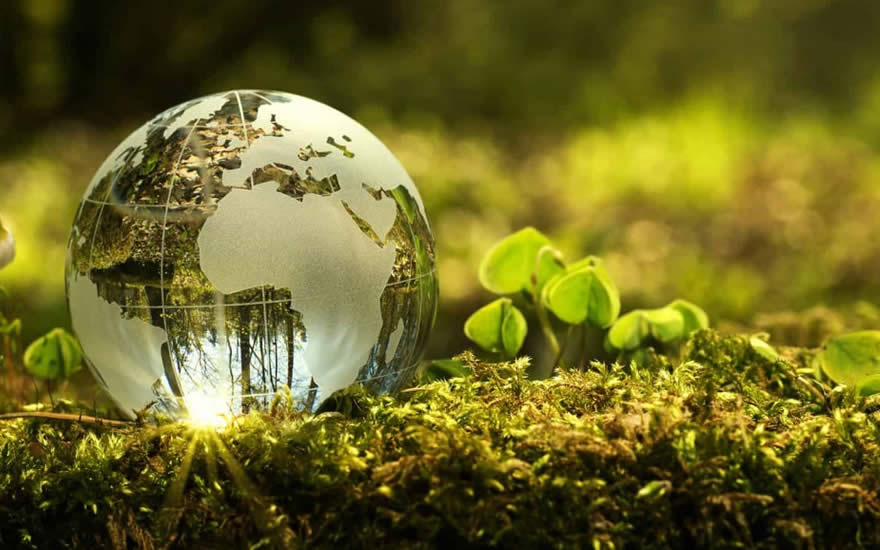 Environmental Management